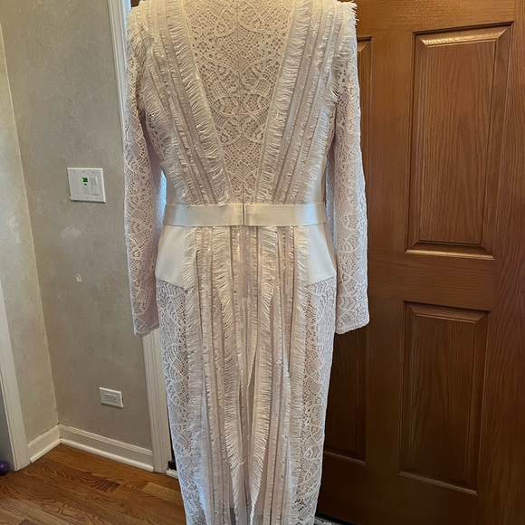 Tadashi Shoji Vow Renewal, 2nd Marriage, Anniversary Party, or Wedding Dress - Picture 7 of 14